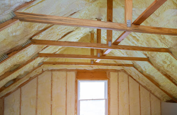 Best Residential Insulation in Su Oswego, NY